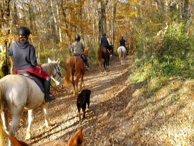 Aventures Équestres