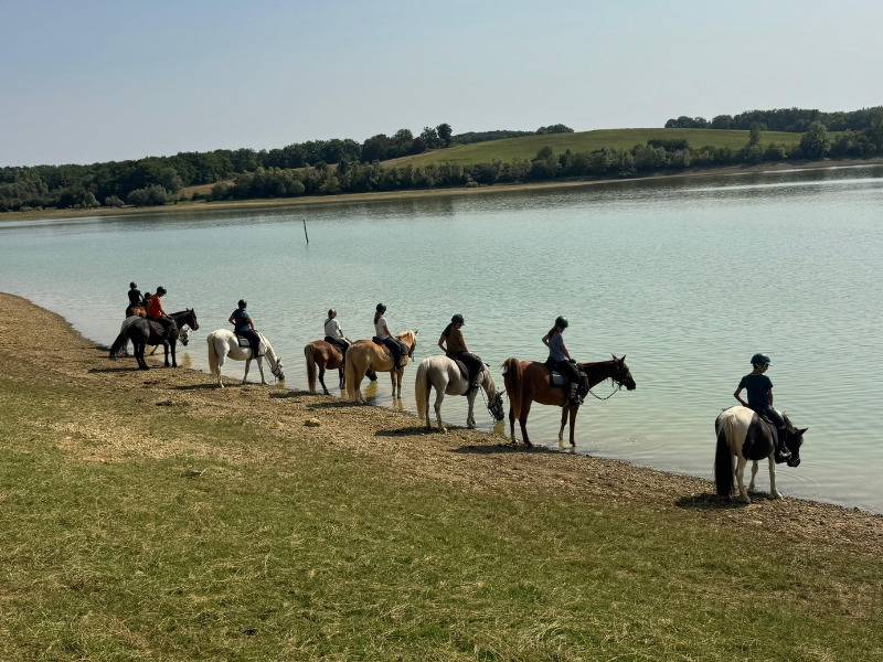 48h à cheval dans le Gers — visuel 5