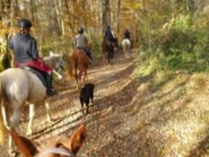 48h à cheval dans le Gers — visuel 6