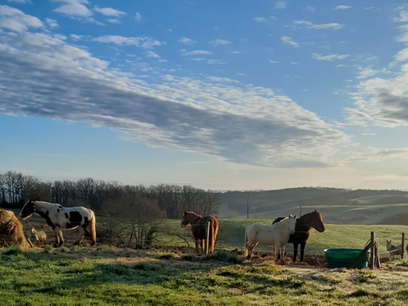 Spécial Groupe — visuel 1